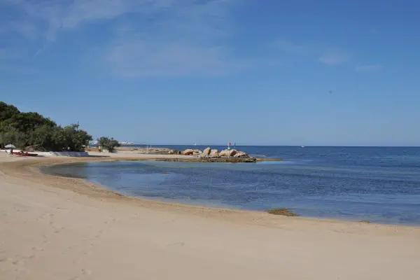 Camping La Vecchia Torre