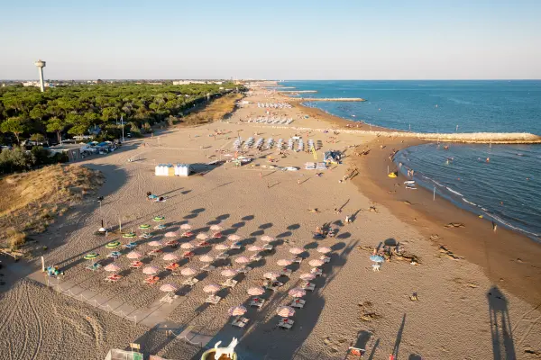 Mare