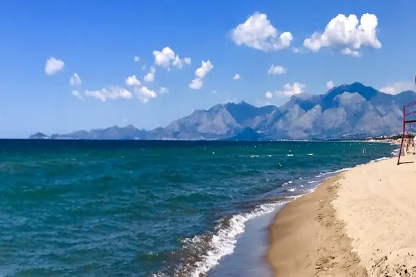Mare